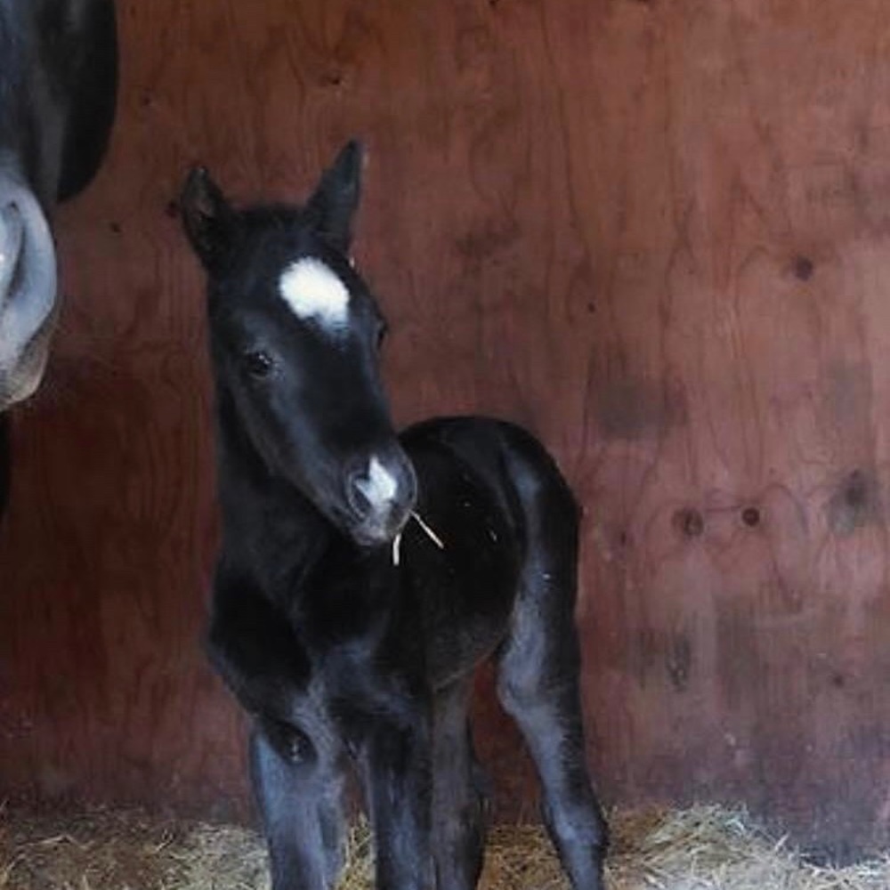 Meet your Posher, Margarita